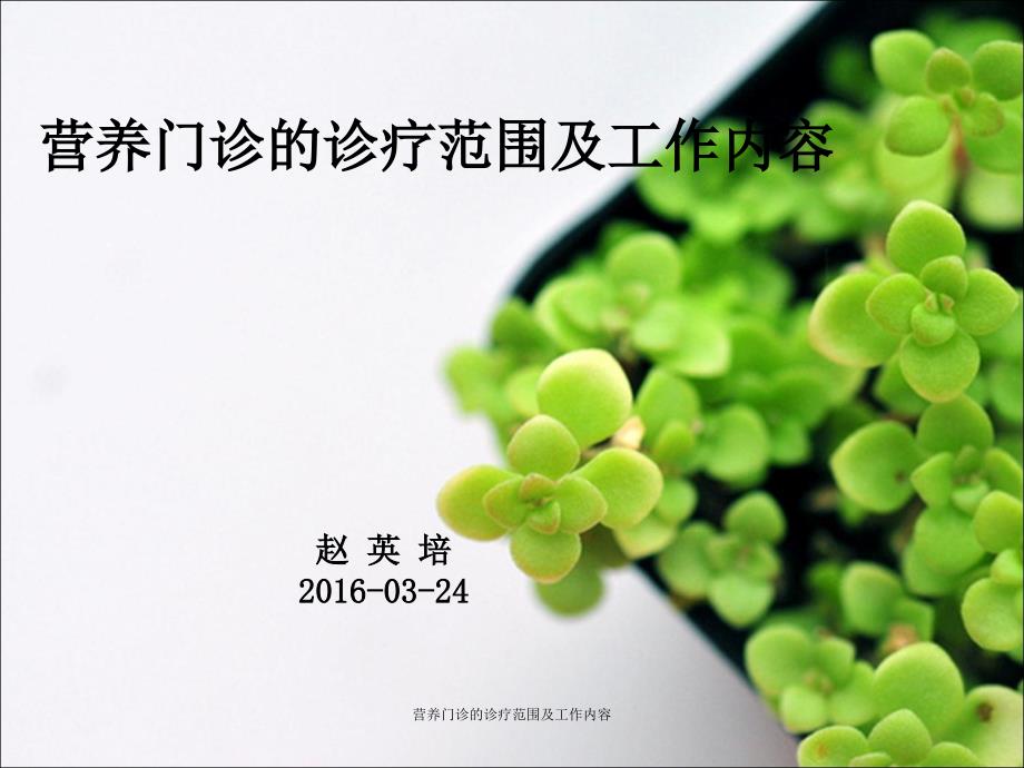 营养门诊的诊疗范围及工作内容经典实用.ppt_第1页