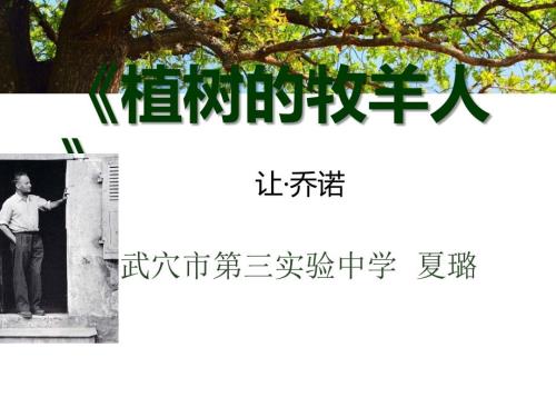获奖公开课植树的牧羊人ppt课件.ppt