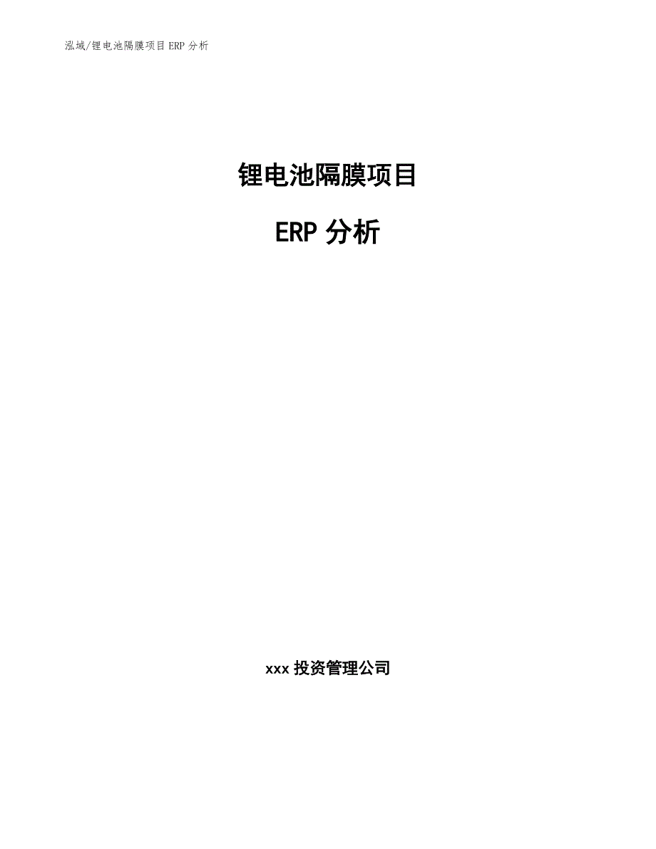 锂电池隔膜项目ERP分析参考.docx_第1页