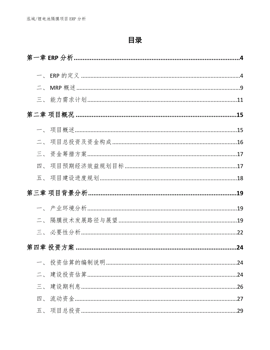 锂电池隔膜项目ERP分析参考.docx_第2页