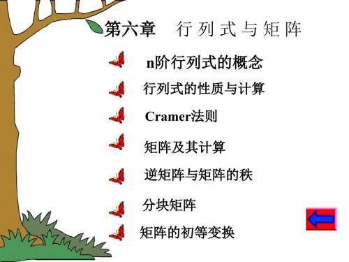 行列式及其性质PPT课件.ppt
