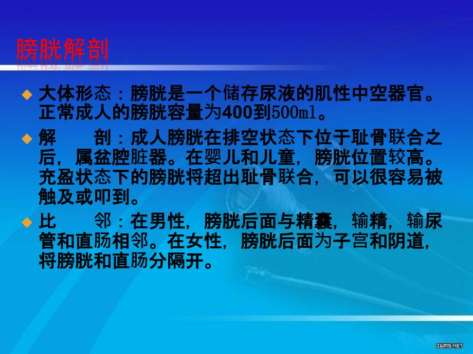 膀胱肿瘤PPT课件.ppt_第2页