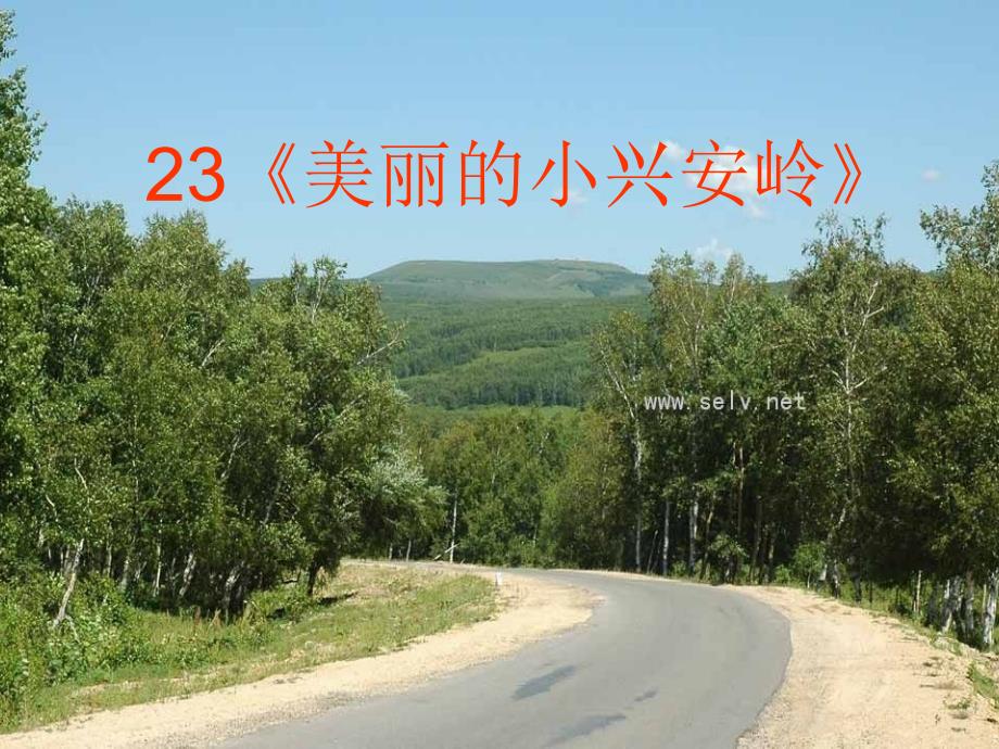 美丽的小兴安岭优质说课ppt.ppt_第1页