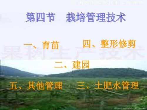 葡萄栽培技术PPT课件.ppt