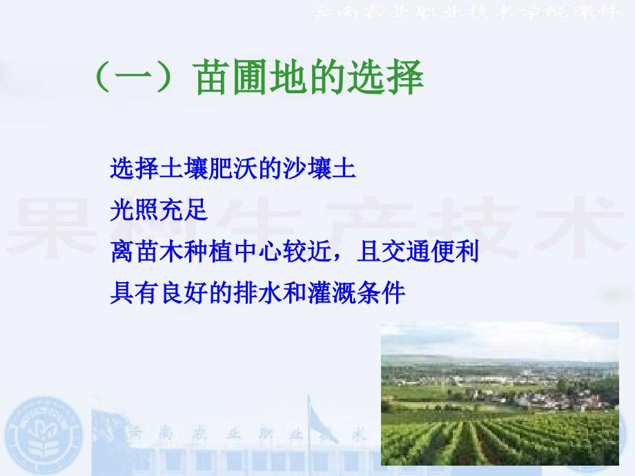 葡萄栽培技术PPT课件.ppt_第3页
