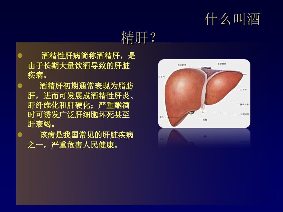 酒精性肝病PPT.ppt_第2页