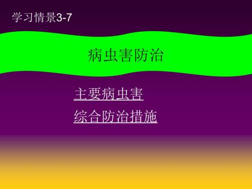 蔬菜病虫害防治.ppt