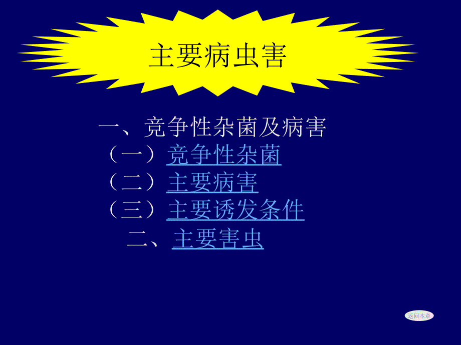 蔬菜病虫害防治.ppt_第2页
