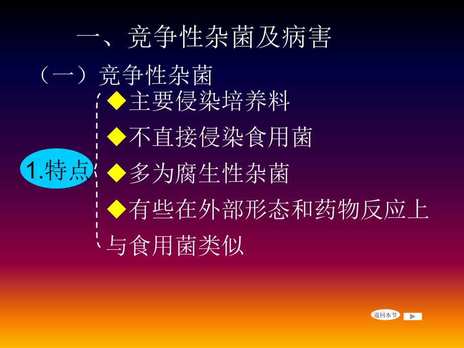蔬菜病虫害防治.ppt_第3页