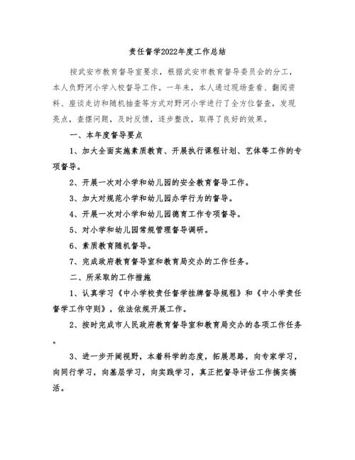 责任督学2022工作总结.doc