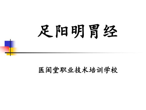 足阳明胃经及重点穴位.ppt