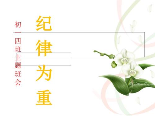 纪律主题班会初二班.ppt