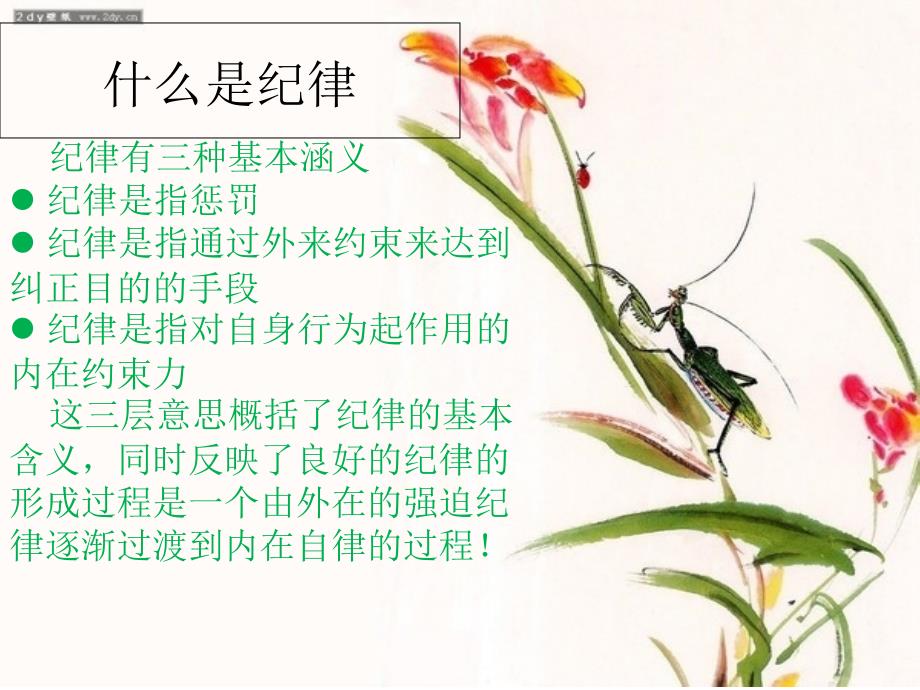纪律主题班会初二班.ppt_第2页