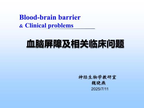 血脑屏障.111.ppt