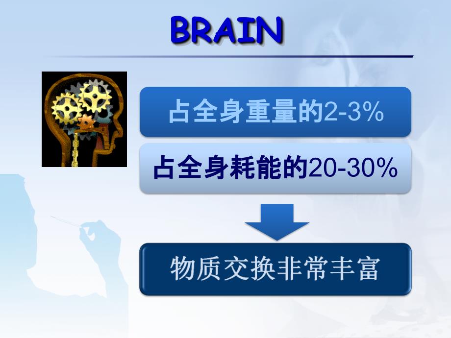 血脑屏障.111.ppt_第3页