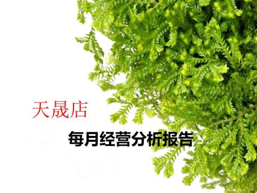 药店每月经营分析报告ppt课件.ppt
