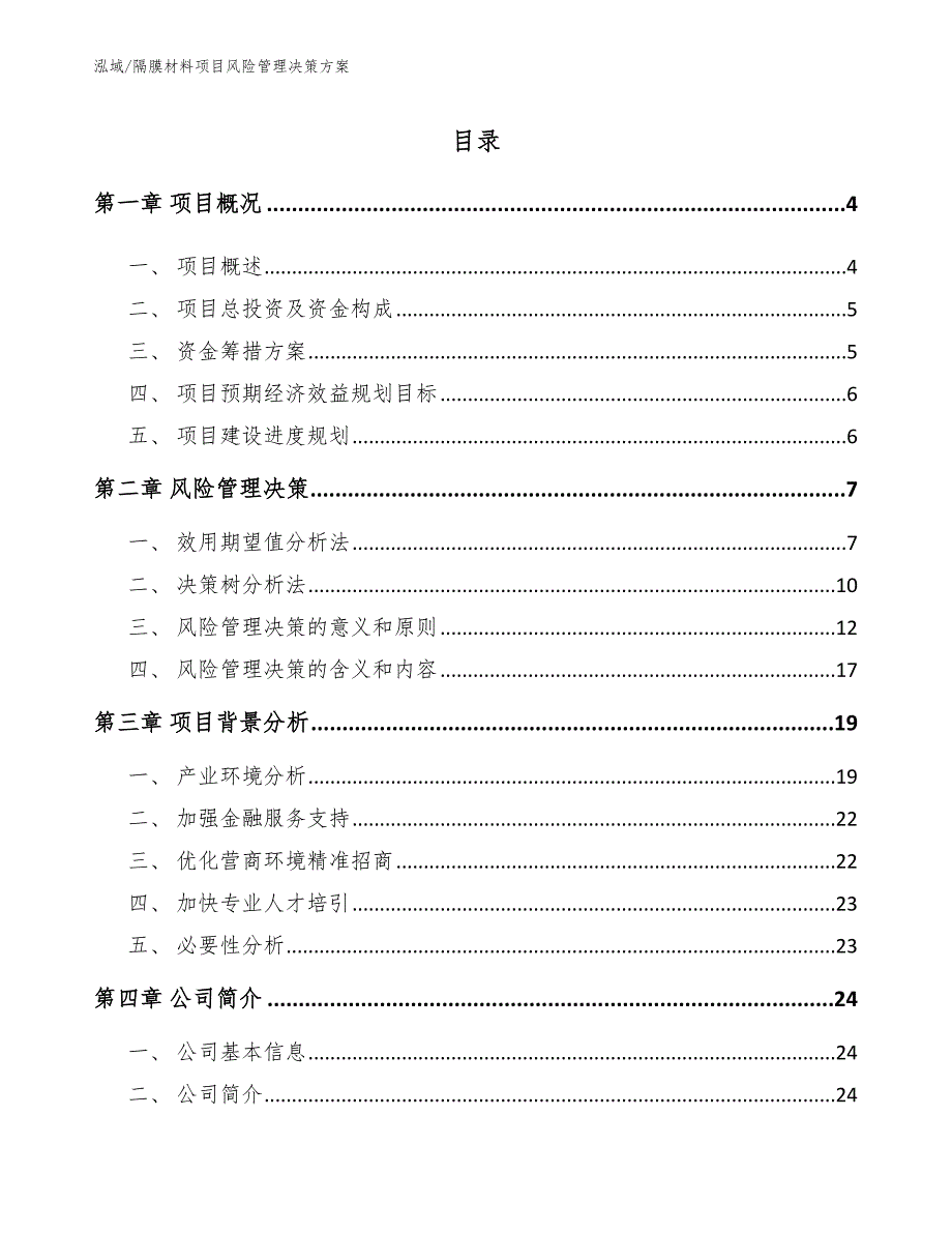 隔膜材料项目风险管理决策方案.docx_第2页