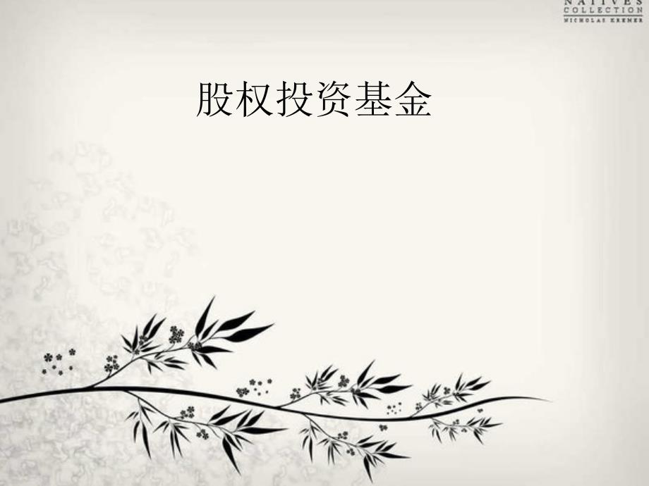 股权投资基金PPT课件.pptx_第1页