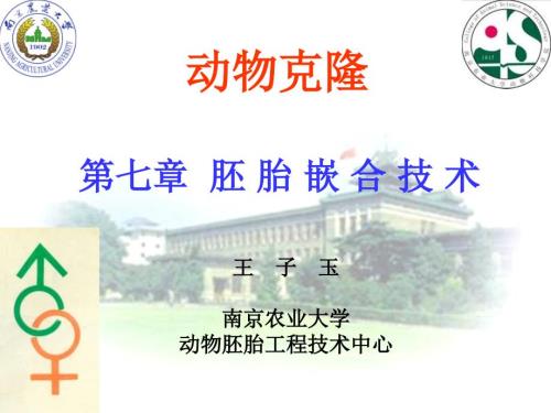 胚胎嵌合技术PPT课件.ppt