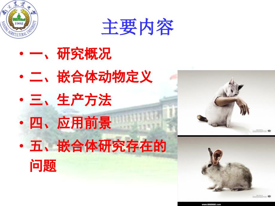 胚胎嵌合技术PPT课件.ppt_第2页