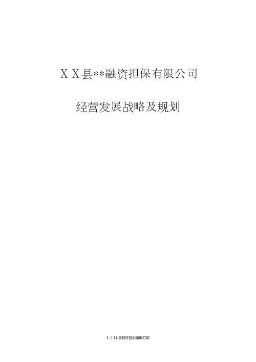 融资担保有限公司经营发展战略及规划.doc