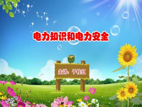 适合给小学生讲的电力知识与电力安全.ppt