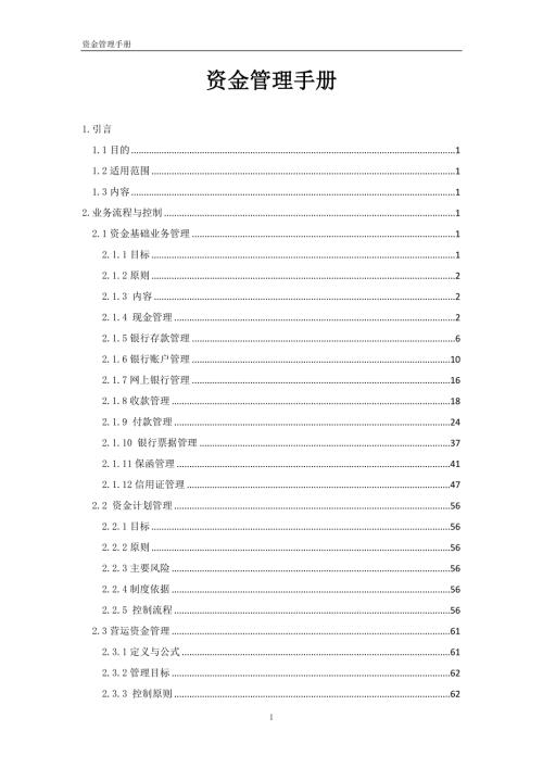 资金管理手册范本.docx