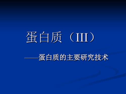 蛋白质IIIPPT课件.ppt