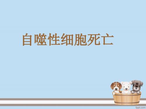 自噬性细胞死亡课件.ppt