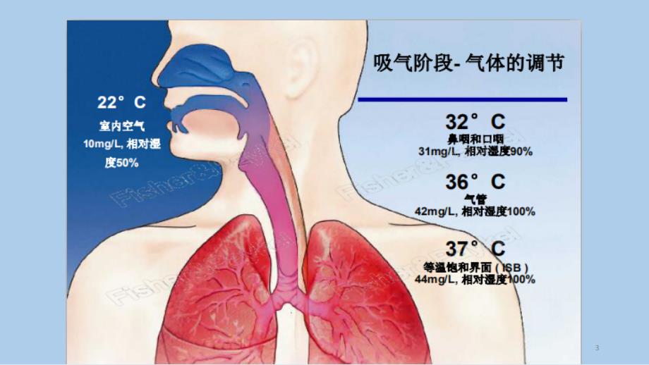 经鼻高流量湿化氧疗.ppt_第3页