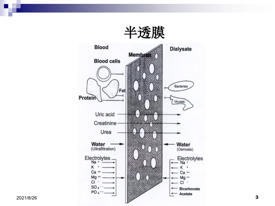 血液透析原理课件PPT.ppt_第3页