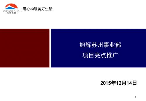 项目亮点总结PPT课件.ppt