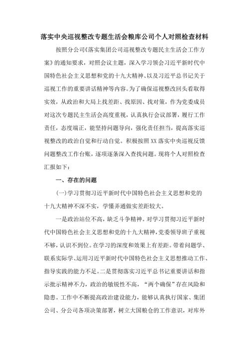 落实中央巡视整改专题生活会粮库公司个人对照检查材料.doc