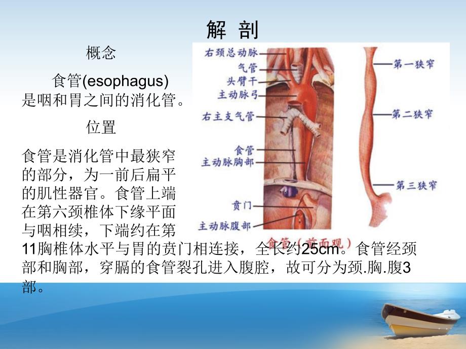 食道癌根治术的护理查房ppt课件.ppt_第3页