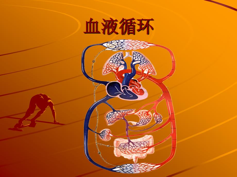 高血压健康教育讲座课件.ppt_第3页