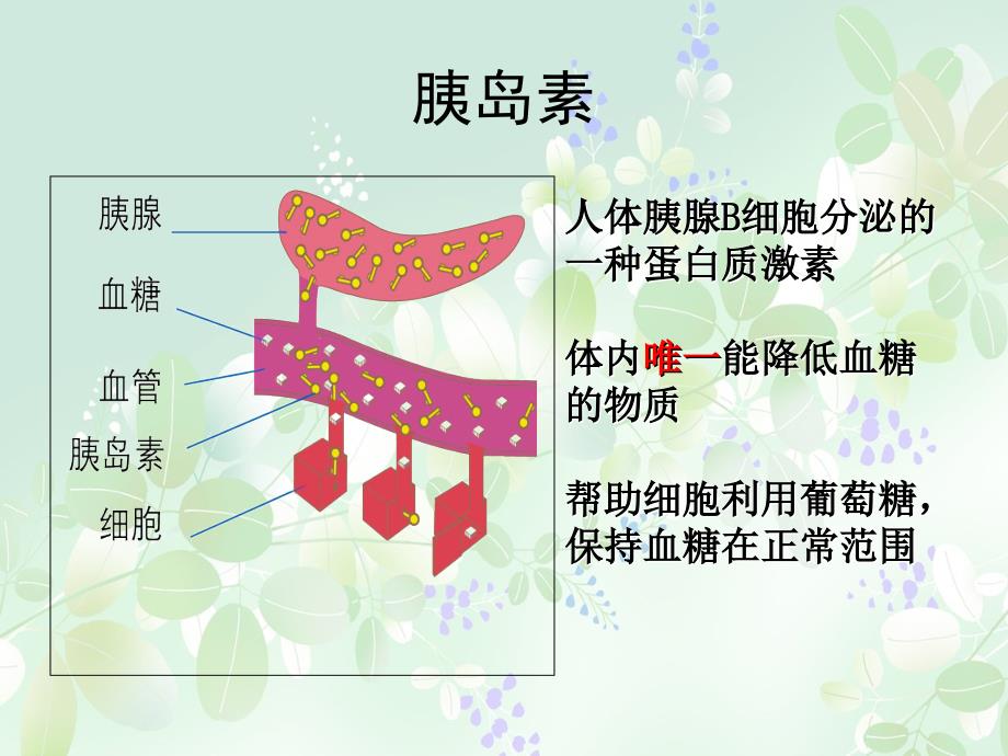 胰岛素注射护理.ppt_第2页