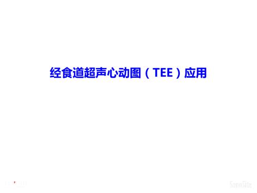 经食道超声心动图TEE应用.pptx