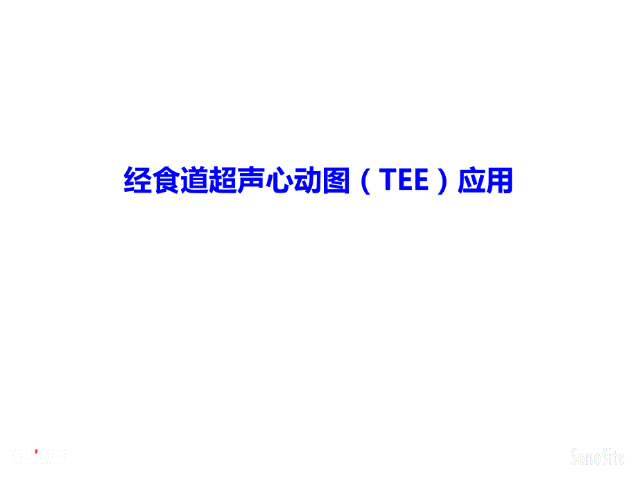 经食道超声心动图TEE应用.pptx_第1页