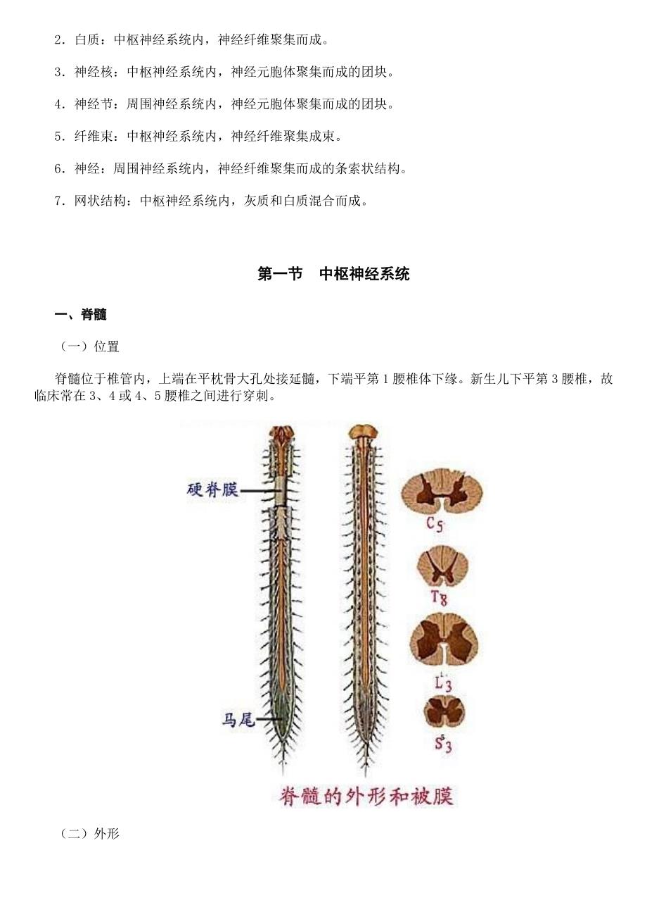 第8章神经系统.doc_第3页