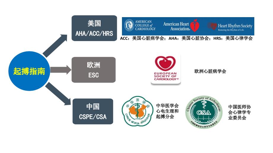 缓慢心律失常管理及起搏指南.ppt_第3页
