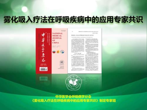 雾化共识完整版.ppt