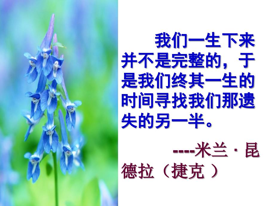 致橡树优秀课件.ppt_第1页