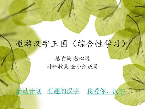 遨游汉字王国PPT课件.ppt