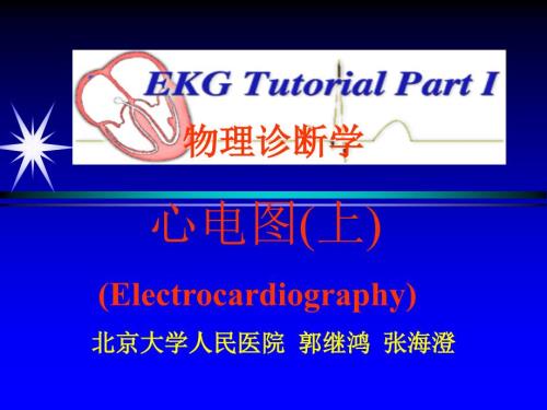 郭继鸿心电图上课件.ppt