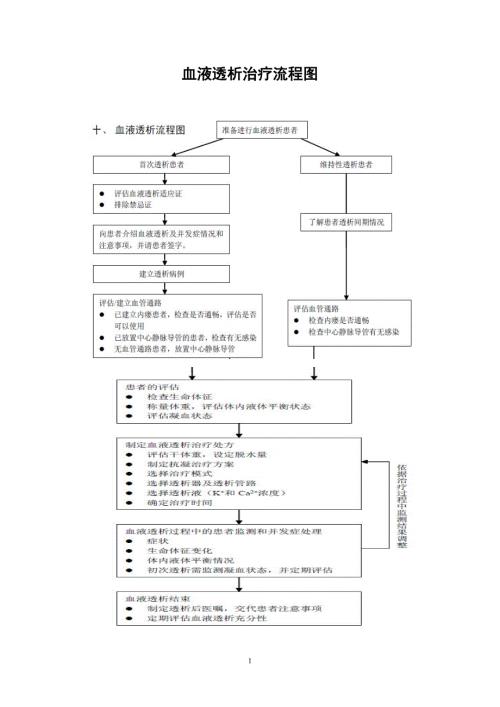 血液透析治疗流程.doc