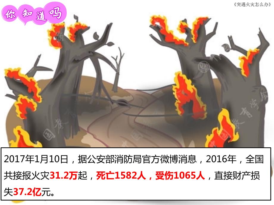 遇到火灾怎么办PPT课件.ppt_第3页