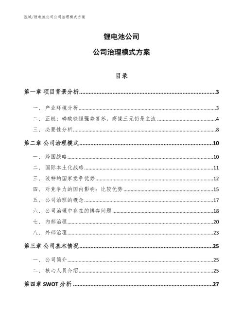 锂电池公司公司治理模式方案参考.docx