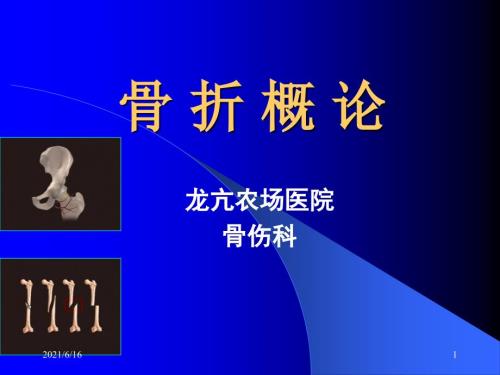 骨科课件PPT课件.ppt