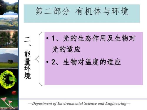 能量环境PPT课件.ppt