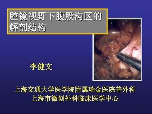 腔镜下腹股沟区的解剖.ppt